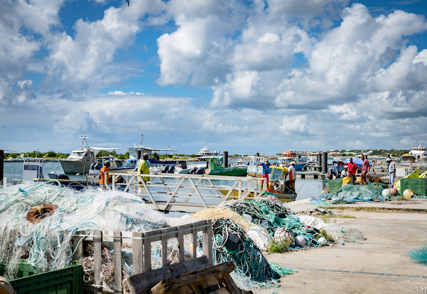 Port de pêche