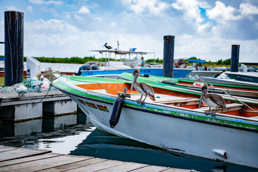 Port de pêche